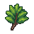 Arugula