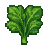 Baby Spinach