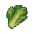 Romaine Lettuce